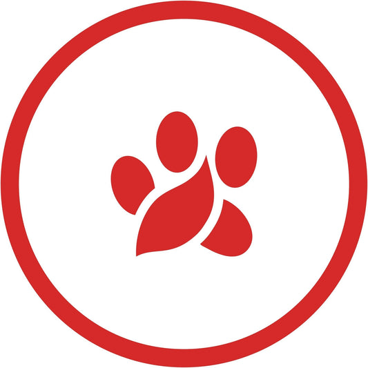 Razem dla naszych czworonożnych przyjaciół — wsparcie schroniska w Lublinie