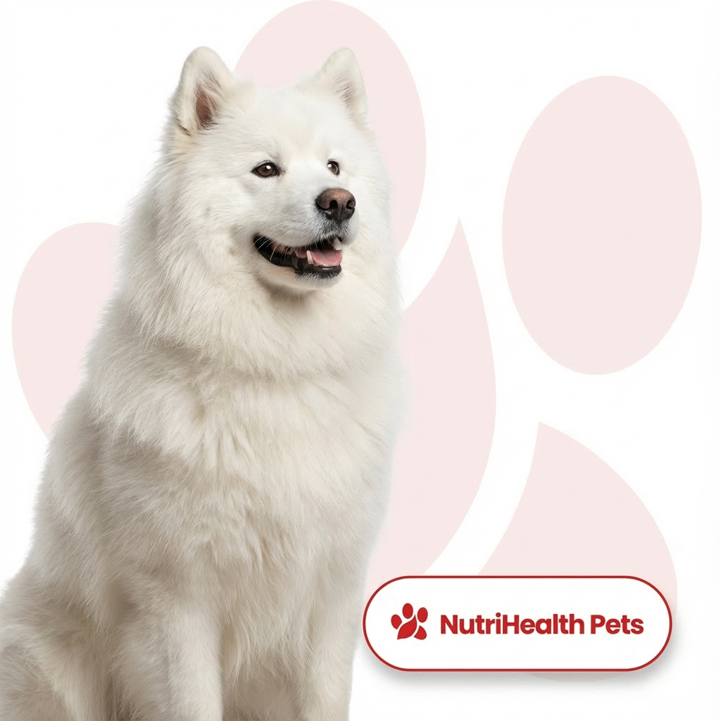 Kategoria Psy – NutriHealth Pets (grafika kategorii).