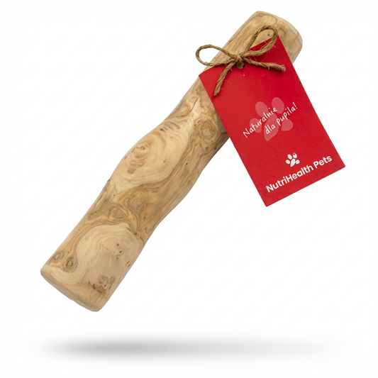 Patyk z drzewa kawowego